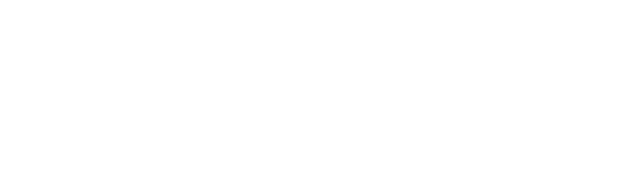 de ruwe diamant